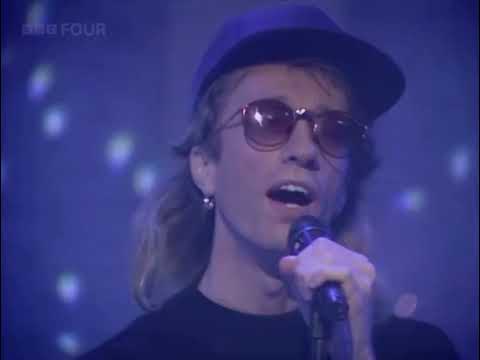 Videoclip de How To Fall In Love, Pt.1 — Bee Gees