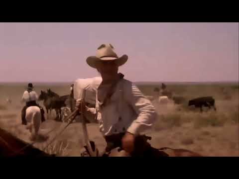 When A Cowboy Trades his Spurs for Wings  from the ballad of Buster Scruggs