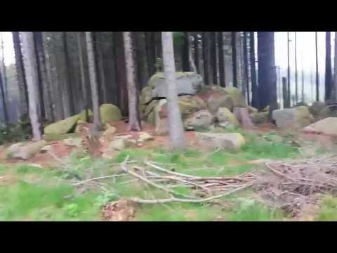 Ferdinandsstein Stempelstelle 16 - Wandern im Harz mit der Harzer Wandernadel, Ilsenburg