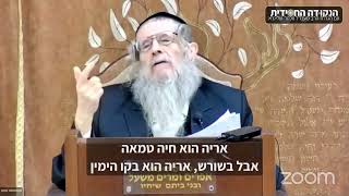 הגה״ח הרב ווכטר שליט״א | תוהו ותיקון ומה שביניהם (הרב אברהם מנחם מענדל וכטר) - התמונה מוצגת ישירות מתוך אתר האינטרנט יוטיוב. זכויות היוצרים בתמונה שייכות ליוצרה. קישור קרדיט למקור התוכן נמצא בתוך דף הסרטון