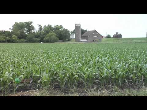 download lagu mp3 mp4 Corn Weight Per Bushel, download lagu Corn Weight Per Bushel gratis, unduh video klip Corn Weight Per Bushel
