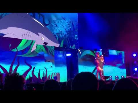 DWTS Tour: 2020 // BABY SHARK // Male Pros