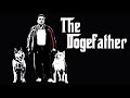 Dogecoin Song To The Moon
