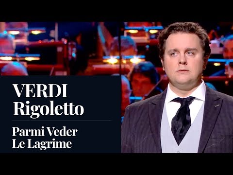 Michael Spyres - Verdi - Rigoletto - 'Parmi Veder Le Lagrime'