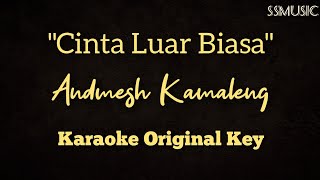 Download lagu Andmesh Kamaleng - Cinta Luar Biasa (Karaoke version no vocal - original key) mp3
