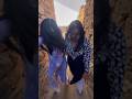 Kuldhara Haunted Village Bhoot Ki Kahani Apurva Movie Shooting Place Trending Shorts Haunted