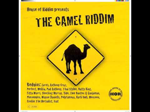 House of Riddim feat Perfect-damage.m4v