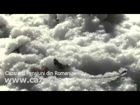 Cazare Dracsani, Teleorman - Cazat.ro