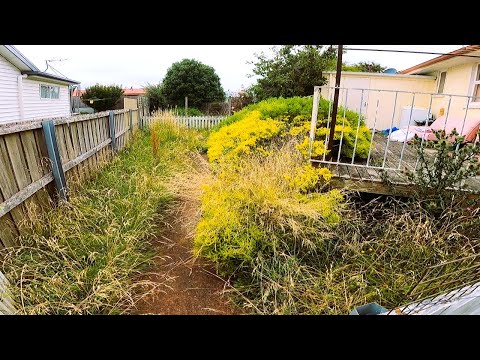 She Was Losing Hope, So I Gave Her A Total Yard Makeover!