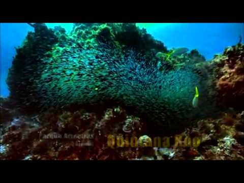 Quintana Roo  -  Bebu Silvetti