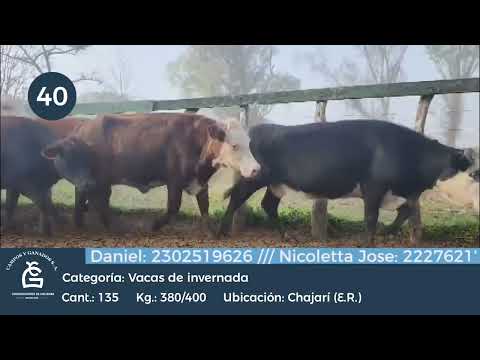 Lote Vc Inv - Chajari E R
