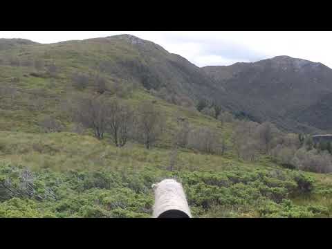 Hjortejakt 2019, Pik. Deerhunting