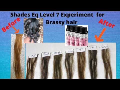 Hair Level 7