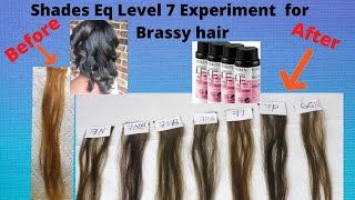 Shades Eq Level 7 Experiment for Brassy Hair