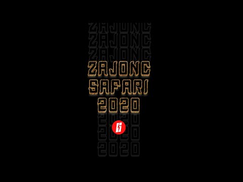 Zajonc - Safari 2020 (Official Video)