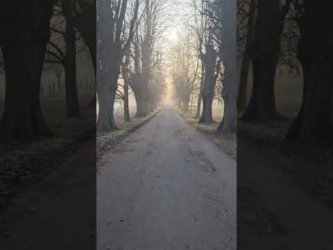 Da onleh weigh aht iz froo 🔛 bandcamp