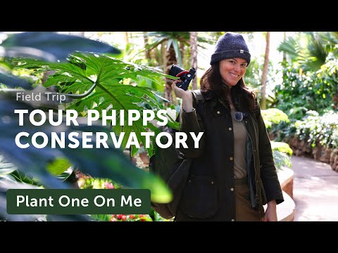 Tour PHIPPS CONSERVATORY in Pittsburgh, PA — Ep. 380