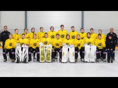 saipa b team