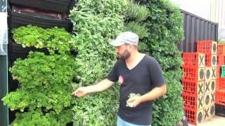 Wall Garden | Vertical Garden Installation &amp; Operation