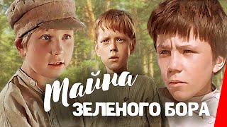 Тайна зеленого бора (1960)