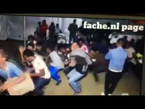 Eritrean Amoy TV  Eritrean Arki Hlfot