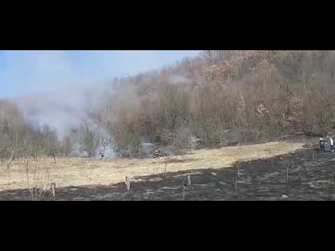 Incendiu în Argeș. Focul a ajuns în pădure