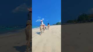 Download lagu Wisata Viral Bali Naik Unta di Pantai Kelan, Objek Wisata Dekat Kuta Jimbaran Nusadua Bandara mp3 Download lagu Wisata Viral Bali Naik Unta di Pantai Kelan, Objek Wisata Dekat Kuta Jimbaran Nusadua Bandara mp3