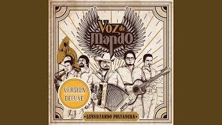Comandante Cholo Lyrics English Translation