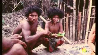 Man In Search Of Man (1974)