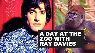 The Kinks | A Day at the Zoo With Ray Davies (1967)