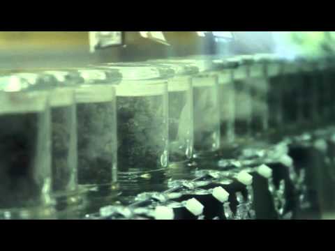 The Karmacy Virtual Tour