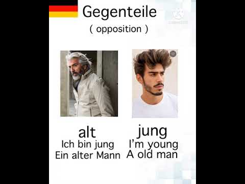 German language for Beginners 🇩🇪 #Youtuber Gegenteile | Opposition | easy German