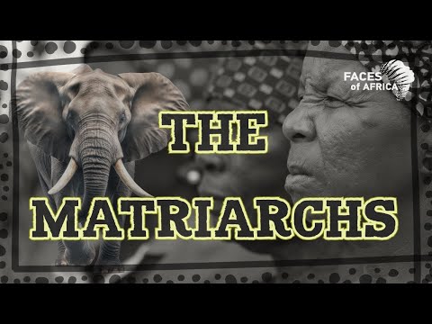 Faces of Africa - The Matriarchs