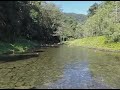 O JESU MULENAKA