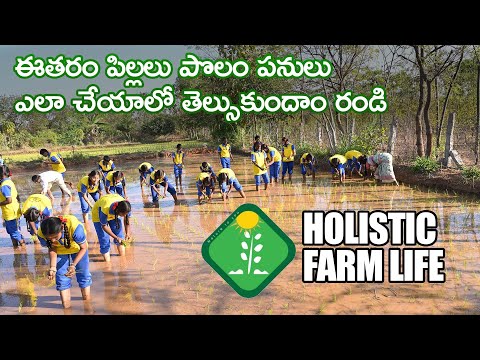 Holistic Farm Life - Telangana