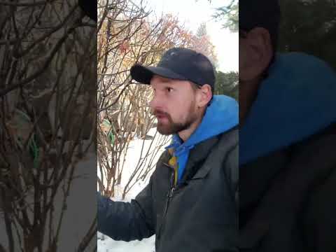 Why Downspout Extensions Matter More Than You Think