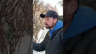 Watch video: Why Downspout Extensions Matter More Than...