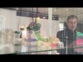 Ausstellungsführung Teil 1: Handmade in Europe