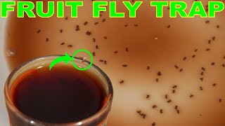 This Genius Trap Will Stop FRUIT FLIES In Your House Overnight!