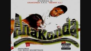Pimps and Hoes by Akinyele &  DJ Armstead