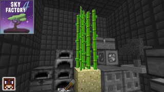 Gold DOES Grow on Trees! #6