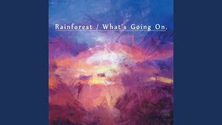 Rainforest/What's Going On (War Is Not The Answer)