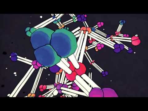 Trap / Gosize - Trap Star