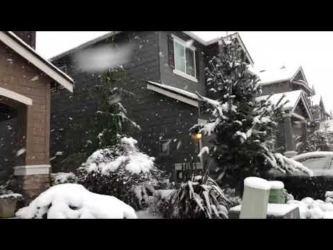 Snowing in Lake Stevens