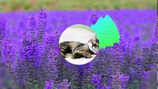 SLUMBERJACK - Afraid, Unafraid (feat. Sydnee Carter) (Unafraid meme song)