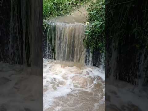 UN DIA DESPUES DE LA LLUVIA R12 RIO RIACHUELO PTE PEXOA CORRIENTES 🌧️🇦🇷 #pesca #bici #argentina
