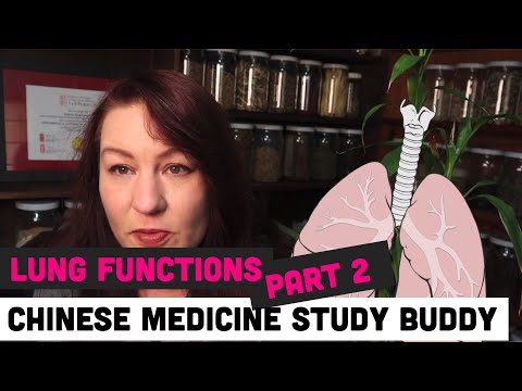 The Lungs- Chinese Medicine Study Buddy Series - Zang Fu METAL - Part 2