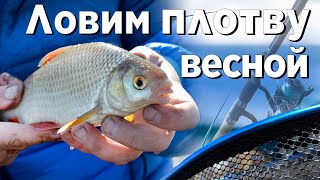 О фидере от начало и до конца