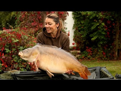 Venue videos photo 1