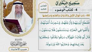 [233] حديث: قدم أناس من عكل أو عرينة فاجتووا المدينة فأمرهم[باب أبوال الإبل والدواب والغنم ومرابضها]